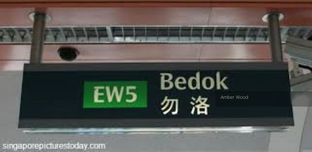 Blk 41 Chai Chee Street (Bedok), HDB 3 Rooms #133092452